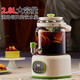 Liven health pot flower tea bucket kettle teapot glass 2.8L with faucet camping flower teapot office thermostatic kettle stew all-in-one household electric kettle SH-D2855