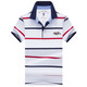 Weiß gestreiftes Polo-Hemd Herren-Revers Paul Paul Kurzärärmelte T-Shirt Modetrend Marke High-End-T-Shirt Pure Cotton Stickerei Grün gestreift 3882 Modell M 48/170/Geeignet für 100-125 Jin [Jin gleich 0,5 kg]