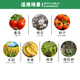 Huayi 40% ethephon ripening agent tobacco mango banana fruit cotton tomato plant growth regulator 500g