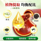 Beijing Tongrentang Money Green Willow Mulberry Hoja Doble Melón Melón Manos y pies Entrenamiento mareos Tienda oficial Extracción botánica genuina [2 botellas 200 piezas] Debilidad y fatiga corporal