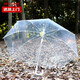Transparent umbrella Korean style umbrella ins umbrella long handle umbrella internet celebrity thickened student girl small fresh high-end umbrella transparent
