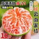Yunnan tangerine extra early ripening orange fresh fruit 9Jin Jin equals 0.5kg. Seasonal 5 green-skinned tangerines seedless pregnant women. Full box of tangerines 10. 5Jin Jin equals 0.5kg. Premium package.