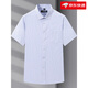 
Yageor flagship official store 2025 summer new men's short-sleeved shirt for business, iron-free, anti-wrinkle stripes, breathable workplace men DX6621 45 [195-210Jin[Jin equals 0.5 kg]]