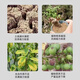 Soil loosening agent, loosening essence, no deep tillage, soil activator, universal fertilizer, loosening and top dressing, imported raw materials, 100 times more effective. 2Jin Jin is equal to 0.5kg.