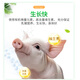 Changxiao New Hope Liuhe 8% suckling pig nursery feed GY881 (contains fish meal) 8% suckling pig premix (20kg)