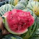 Kirin Meidu watermelon seeds with thin skin, crack-resistant, few seeds, super sweet and crispy 8424 round watermelon, Meidu watermelon seeds, 100 pieces original bag, Jinmeidu