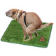 Pet Lawn Dog Toilet Lawn Urgent Mat Courtyard Artificial Lawn Pet Supplies Balcony Decoration Cutting Medium (58*46cm)