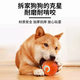 Jingdong Express Dog Jumping Ball Smart Dog Funny Wear-resistant and Relieves Boredom Self-Happiness Artifact to Accompany and Anti-Demolition Home Vibrant Orange Smart Companion to Say Goodbye to Loneliness