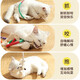 Jingxi self-operated - special brand cat chewing rope cat toy self-stimulating and boredom relief tool molar stick toy bite-resistant kitten kitten cat teasing stick supplies Wanshi Orange one piece