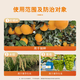 Guoguang Chimei 3% gibberellic acid gibberellin citrus improves fruit setting rate and promotes fruit development and cell elongation official authentic product 200ml/bottle