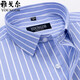 Yager CEO Men's Short-sleeved Shirt Summer Pure Cotton Business Casual Professional Outfit Anti-Wrinkle-Free Middle-aged Stripes DX6630 38 Suggestions [100-120Jin [Jin equals 0.5 kg]]