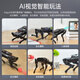 Fantasy Robot de cuatro patas Puppypi Bionic Intelligent Programming AI Vision Mockup Raspberry PI 4B/5 Desarrollo Edición que incluye radar + voz + paquete de expansión del sensor Raspberry Pi 5/8g