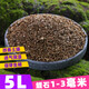 Cute fleshy vermiculite special soil for rose cuttings and flower cultivation, perlite particles, turtle egg hatching, hair root breeding, vermiculite 1-3 mm 5L