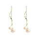 Pearl earrings, long tassel pearl earrings, light luxury earrings, earrings, niche design for women