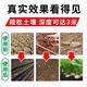 Soil loosening essence soil activator black water fertilizer no need deep tillage to prevent hardening and retain water and fertilizer to loosen soil artifact 1 pack 1 pack/1 mu