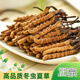 La nouvelle boîte cadeau séchée de Cordyceps séchée de Kangsil pour offrir des cadeaux à nourrir et à nourrir la qualité de sélection de Cordyceps pour les anciens Tibet Nagqu Cordyceps environ 2 racines / gram 80 racines (boîte cadeau)