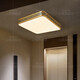 
Heart mirror full copper outdoor ceiling light villa door light Chinese balcony entrance hall aisle anti-mosquito entry door light X3891-300/square