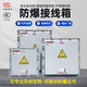 Yuechangsheng Jingshilan explosion-proof distribution box 300*400 monitoring box electrical cabinet inspection box lighting terminal wiring control Zeng'an 135*135*90