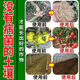 Soil-borne disease bactericide, agricultural soil fungicide, anti-repeat root rot, dead seedlings and root rot, 5 packs 500g*5