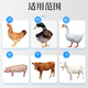 South China Qianmu (SOUTH RANCH) sodium selenite veterinary vitamin e for pigs, cattle, sheep and chicken auxiliary chicken, duck, livestock and poultry premix pregnancy and delivery feed sodium selenite VE1000g*5 bags