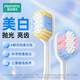 Dinosaur Doctor (PROTEFIX) Adult Toothbrush Teenagers Wide Head Partitioned Hair Transplant Dazzling White Soft Hair Filament White Moonlight Toothbrush 2 Pack