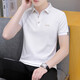 Hailan Home a un t-shirt à manches courtes à col à col courte pour l'été pour hommes à la mode à la mode à la mode de glace à moitié à manches à manches à manches simples Polo QY686 White 4xl [180-195Jin [Jin est égal à 0,5 kg]]]