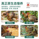Tiannong slow-raised purebred Qingyuan chicken, net weight 2Jin Jin is equal to 0.5kg, Hong Kong free-range chicken, native chicken whole chicken frozen, ecological free-range chicken for 168 days