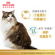 Royal Cat Food Ragdoll Adult Cat Food RA32 General Food 12 Months and Over 10KG