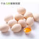 Jingxijia base direct delivery fresh eggs cereal eggs large eggs 50g fresh supermarket breakfast soft-boiled eggs express eggs 50g-10 pieces