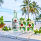 野格（JAGERMEISTER）小瓶洋酒 六大基酒  威士忌 白兰地 伏特加 朗姆酒 龙舌兰 金酒 bai加得白朗姆酒伴50ml*1瓶