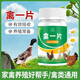 Chicken, duck, and goose poultry tablet poultry chicken fever chicken medicine chicken, duck and goose diarrhea cough asthma poultry tablet 100 tablets/bottle 10 bottles