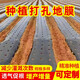 Perforated black mulch film for weeding, insulation, moisturizing and anti-aging medicinal materials, onions, peppers, peppers, special perforated mulch film, 1 wire, 1.5 meters wide, 280 meters wide, 20*20, 6 holes