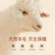 Hodo Light luxury cashmere & wool high-end knitted sweaters for men, easy-care sweaters, Henry collar bottoming shirts