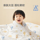 BEYONDHOME BABY Boyang mother and baby 50% soy fiber quilt pure cotton autumn and winter quilt thick quilt kindergarten cover sweet dream 120*150cm
