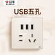 Bull G70 retro socket panel with lever, cream gold plexiglass socket, three USB five holes