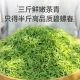 Lepinle tea Mingqian green tea super-grade Biluochun new tea spring tea buds canned 250g with gift bag self-drinking tea