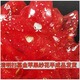 Big red flower hand-tied flower tombstone flower red cloth silk cloth Qingming tomb sweeping tomb encrypted multi-layer latte art seven layers of big red flower with a diameter of 60 cm