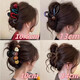 Cartoon Cute Biscuit Clip for Women 2025 New High-end Hair Clip for Back of Head Hair Headband Shark Clip Hair Clamp Translucent Black Single Bead Approximately 13cm