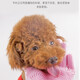 Pet dog cat bathing gloves extended bathing artifact comb cat teddy bear brush supplies green 1 pair 1 piece