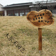 Solid wood gardening ground wooden sign outdoor signage vegetable garden plant corner class sign kindergarten planting area sign 15*30 cm please ask customer service for customization price