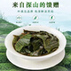 Beijing Tongrentang New Arrival Qingqianliu Tea Authentic Ancient Tree Non-Tender Leaves Xiu Shui Special Granules Qingqianliu Chinese Medicinal Health Tea Qingqianliu 370g 3 cans