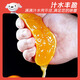 Jingdida Sichuan Ehime No. 38 jelly orange, net weight 5Jin Jin equals 0.5kg, single fruit 200g+, straight from the source