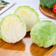 Shuang Da Cai plateau breaded cabbage about 500g