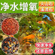 Natural volcanic stone stream stone fish tank decoration package natural native aquatic landscaping bottom sand special stone large grain 5Jin Jin equals 0.5kg volcanic stone + 10Jin Jin equals 0.5kg stream stone king fried combination ancient method of fish farming stabilizes water quality without changing water