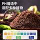 Manlife 56L nutritional soil universal flower soil organic soil imported peat soil vegetable soil succulent orchid planting soil