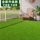 Artificial simulated turf carpet kindergarten outdoor green plastic turf football field paving artificial fake turf mat 2.5 cm extra dense and non-removable 2 meters wide * 5 meters long