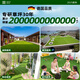 Qingya simulated lawn carpet, fake turf bedding, plastic outdoor artificial court, artificial fence, kindergarten green floor mat, 2cm, newly upgraded 15-pin special-grade extra-dense quality guaranteed S-class model (2 meters wide, 1 meter long) 2 square meters (up to 25m, how long do you need to take a few pieces)