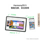 
HUAWEI MatePad 11.5 S Soft Light Edition 2025 Huawei Tablet PC 2.8K Ultra-clear Cloud and Clear Soft Light Screen Student Learning WIFI 12GB+256GB Frost Silver