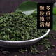 Beijing Tongrentang New Arrival Qingqianliu Tea Authentic Ancient Tree Non-Tender Leaves Xiu Shui Special Granules Qingqianliu Chinese Medicinal Health Tea Qingqianliu 370g 3 cans