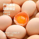 Free-range eggs, grain-fed fresh eggs 40g/piece, 30 pieces of soft-boiled eggs, damaged eggs, 10 pieces/box Free-range eggs, grain-fed fresh eggs 40g/piece, 30 pieces of soft-boiled eggs, damaged eggs, 10 pieces/box